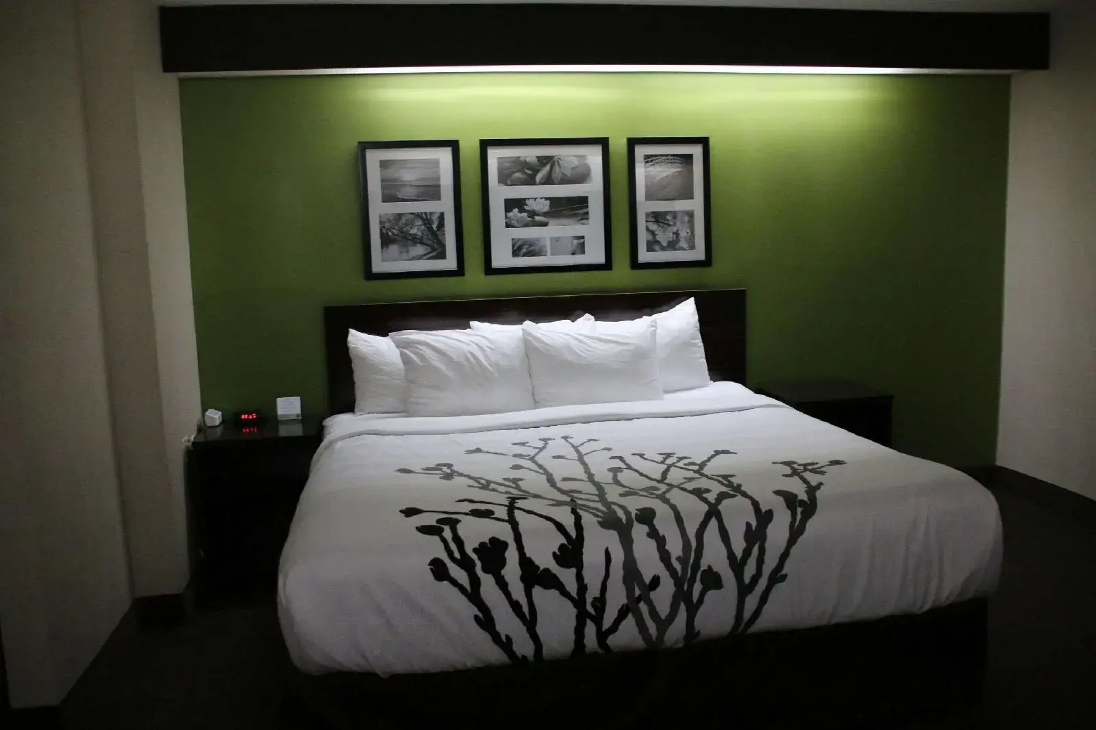 Foto - Sleep Inn near Great Lakes Naval Base