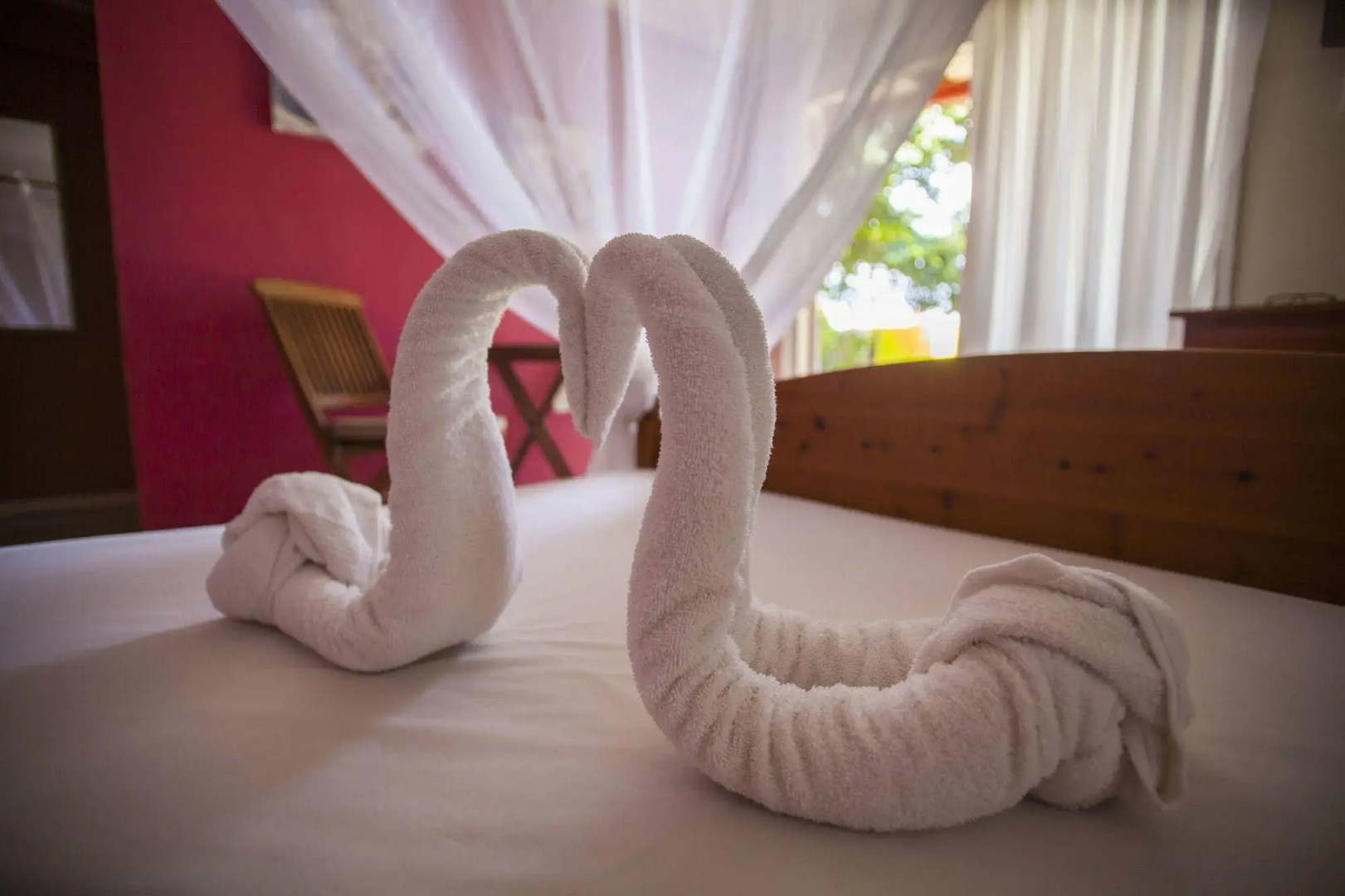 Foto - Rancho el Sobrino