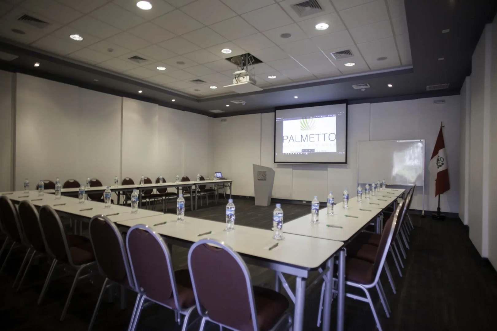 Photo - Palmetto Hotel Business San Miguel