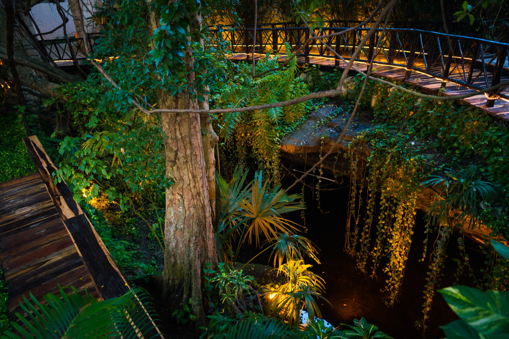 Foto - The Reef Playacar Beach Resort & Spa-Optional All Inclusive