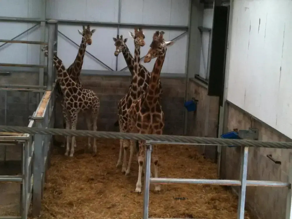 Foto - Denville Hotel