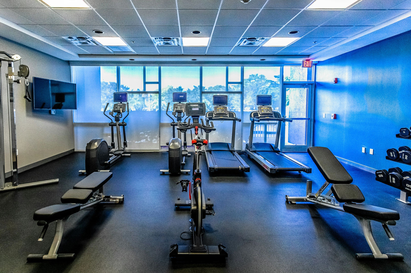 Foto - Hampton Inn & Suites Sarasota/Bradenton-Airport, FL