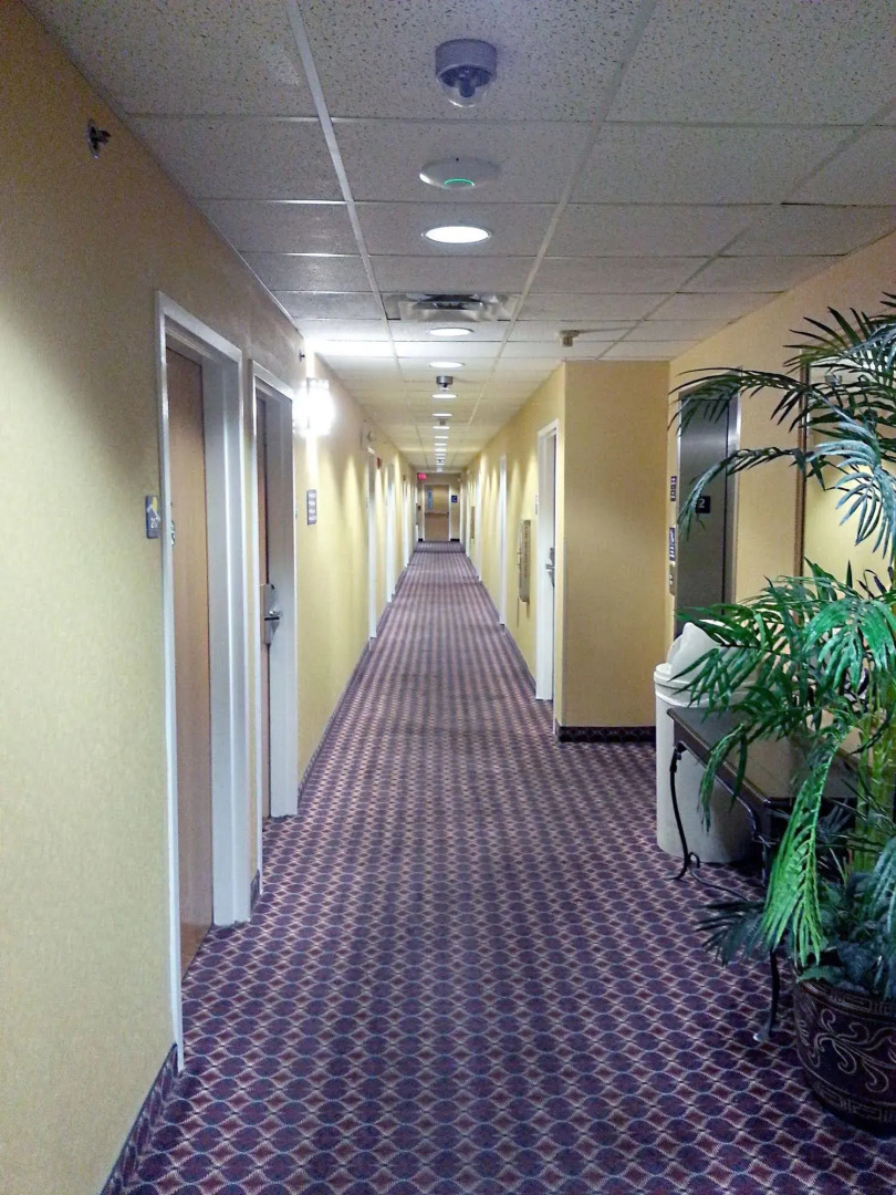 Foto - Hometown Inn & Suites Jacksonville Butler Blvd./Southpoint