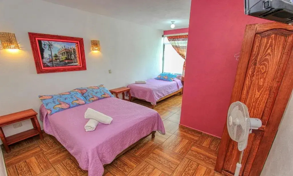 Photo - Maggic Home Panoramica