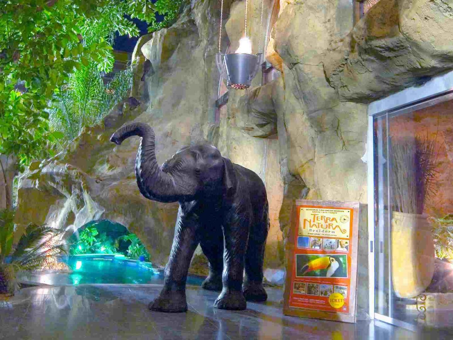 Foto - Magic Aqua Rock Gardens