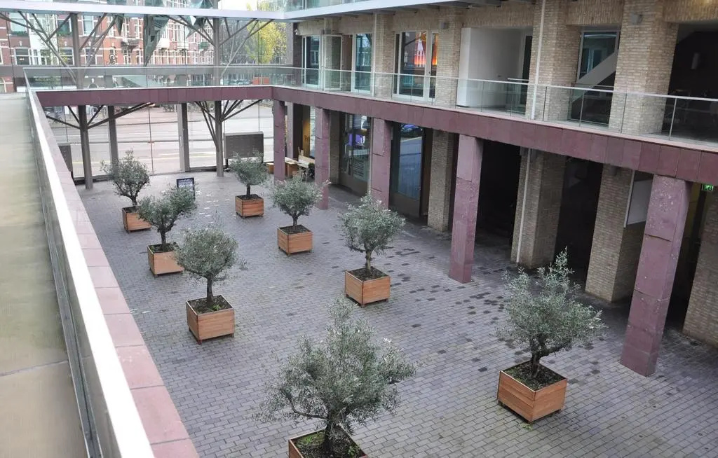 Foto - Hotel Mosaic City Centre