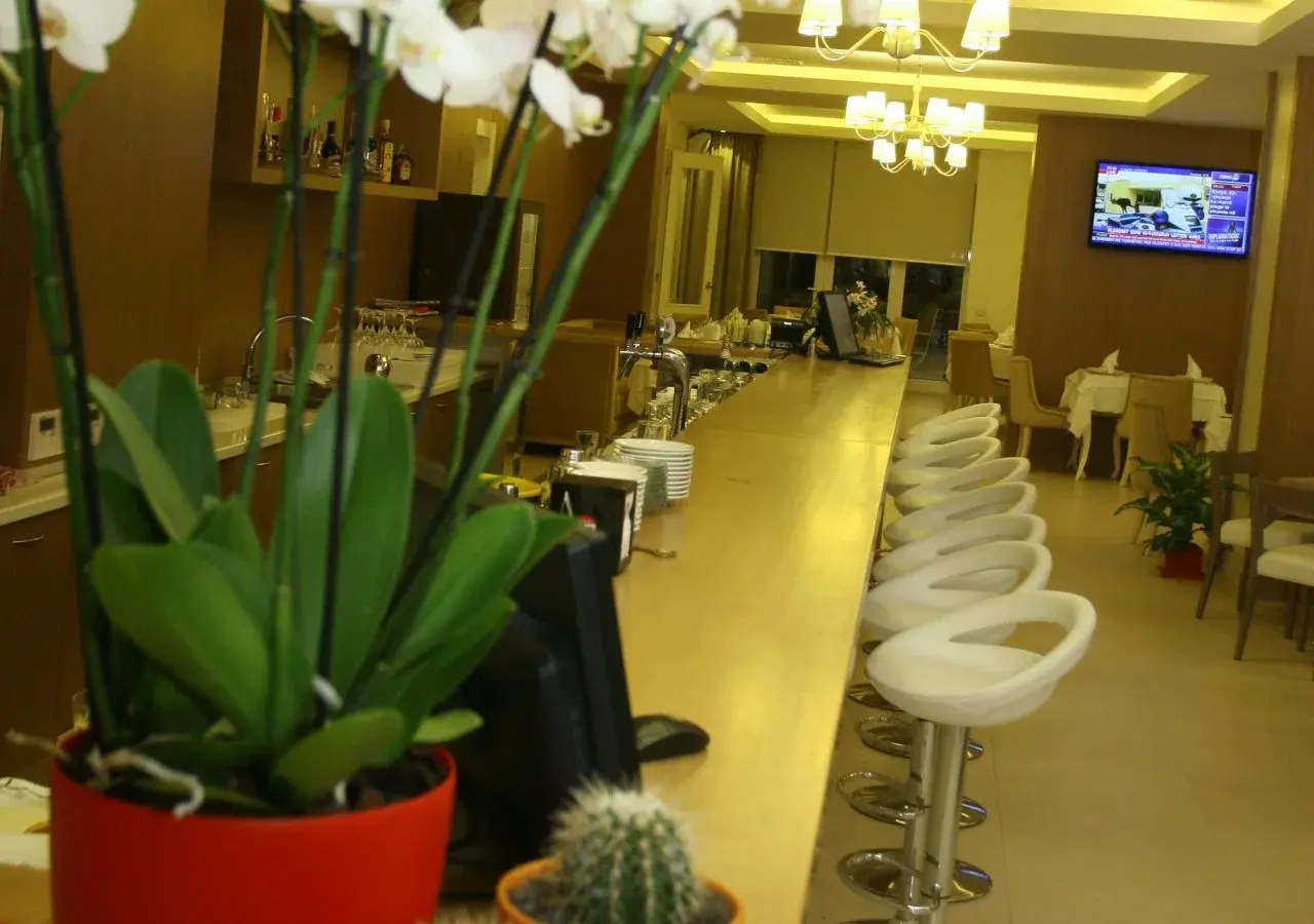 Foto - Palace Hotel & SPA