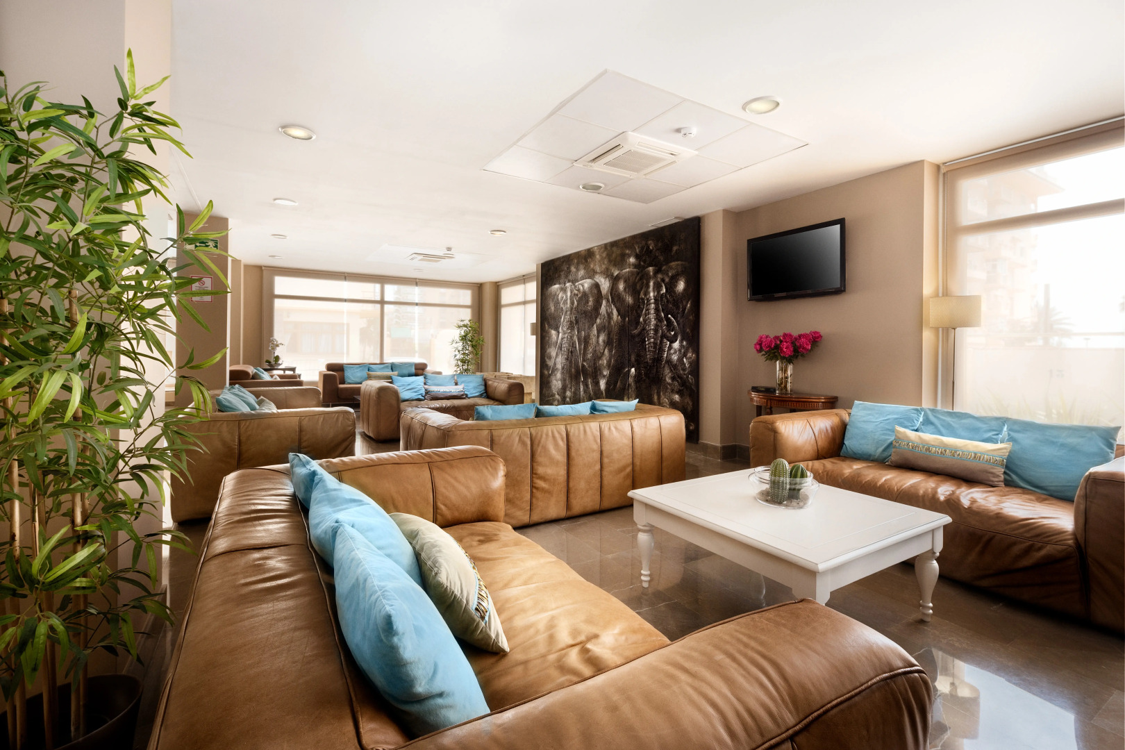 Foto - Hotel Mainare Playa