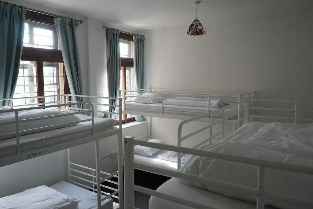 Photo - The Walrus Bar and Hostel