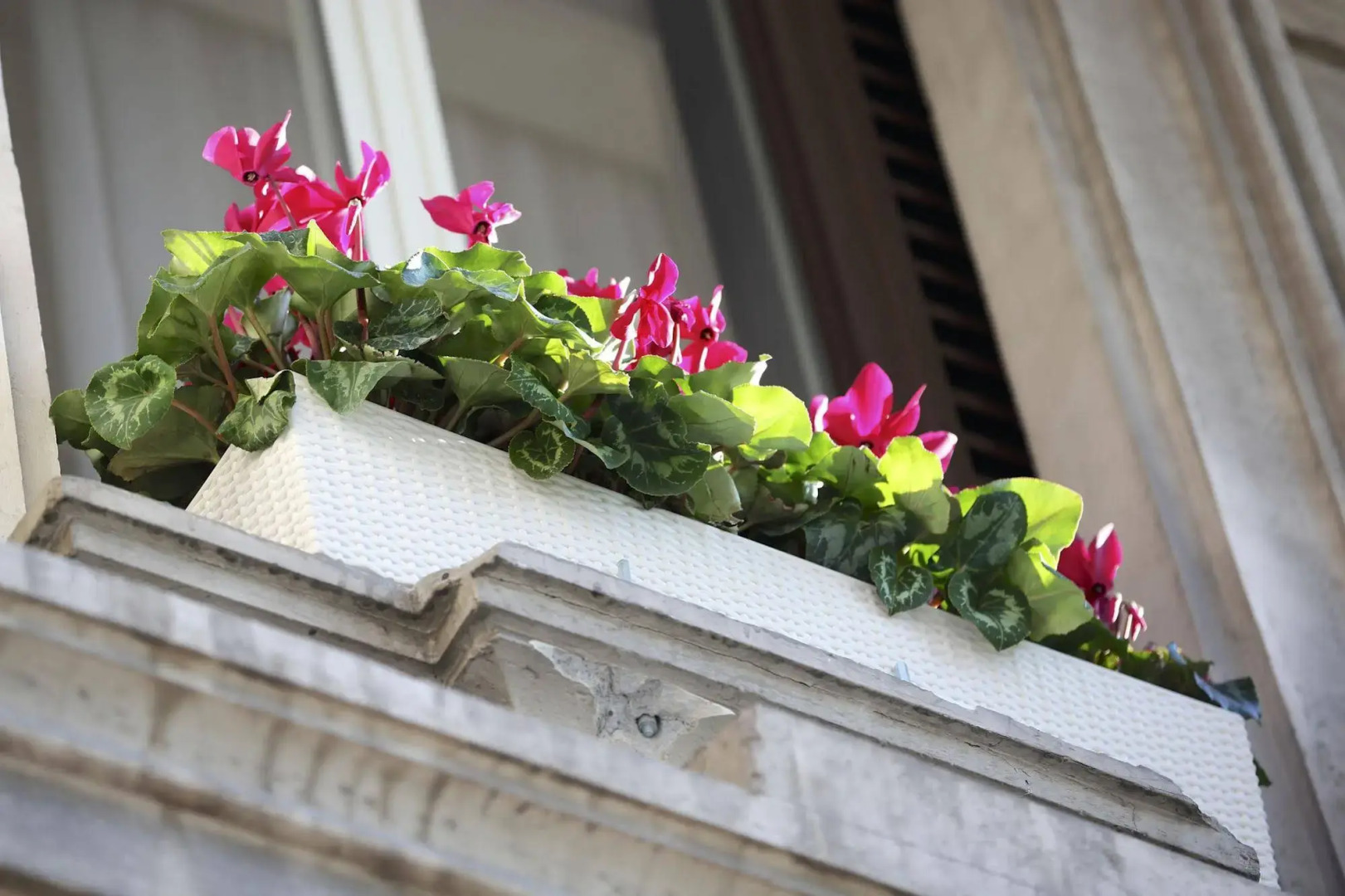 Foto - Tullia&Prisca Relais