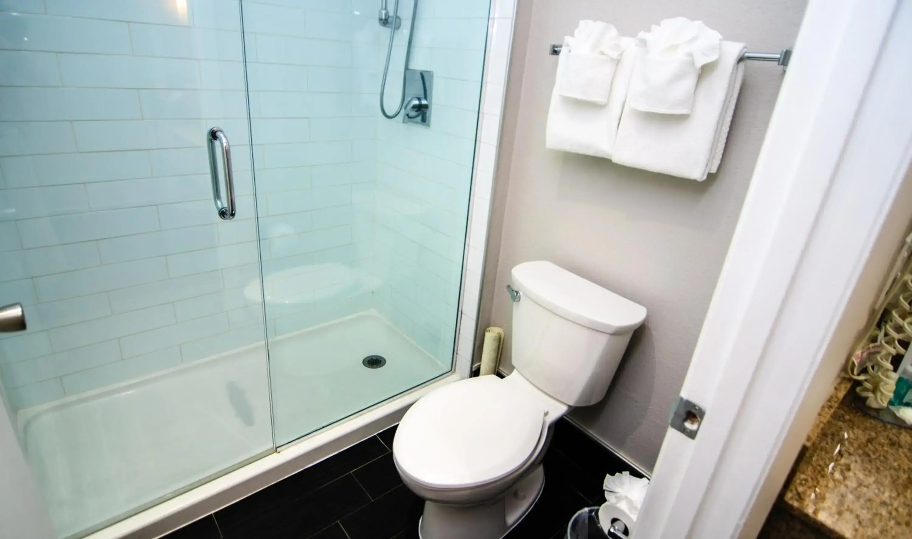 Foto - Quality Inn & Suites By the Parks