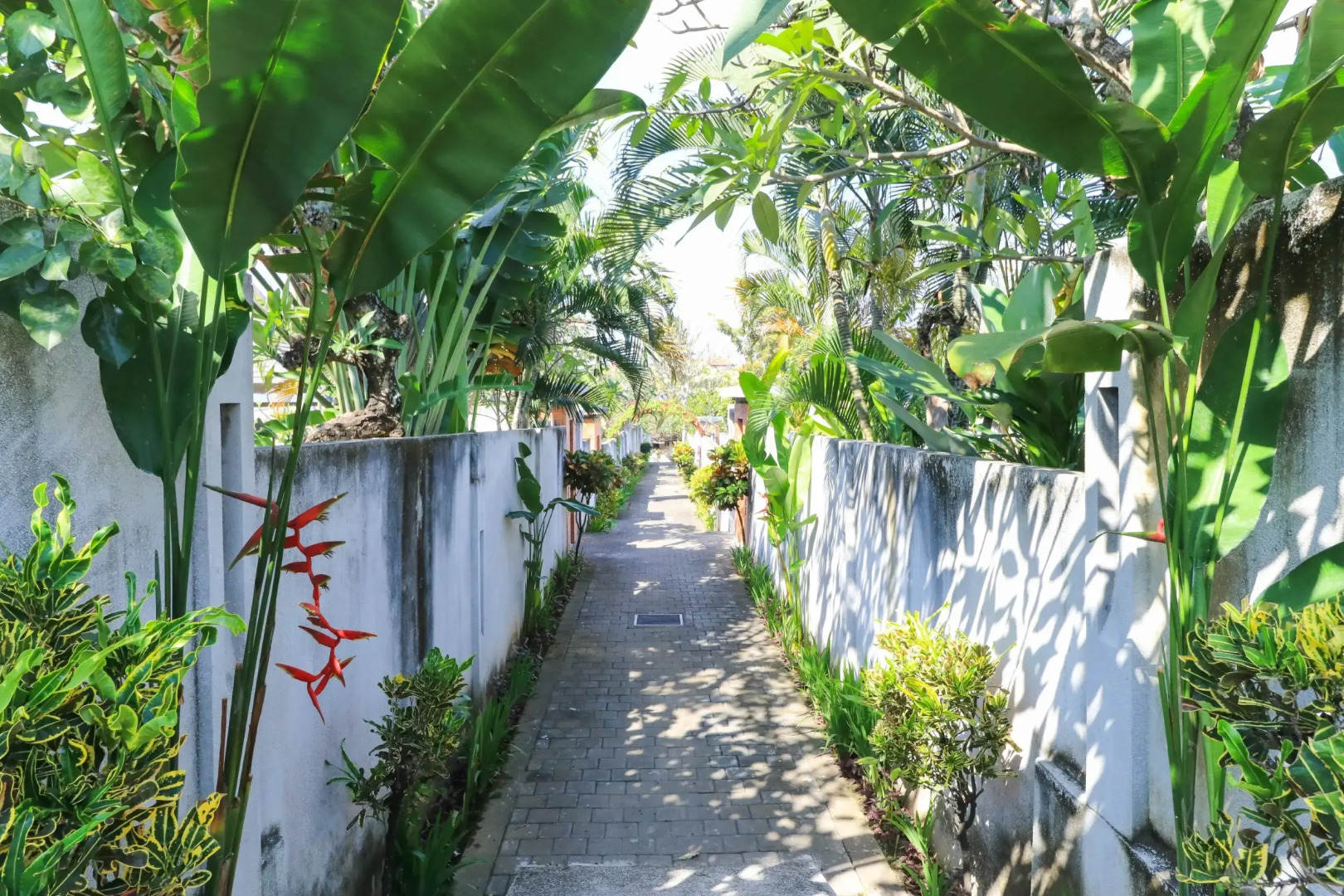 Photo - Bali Merita Villa