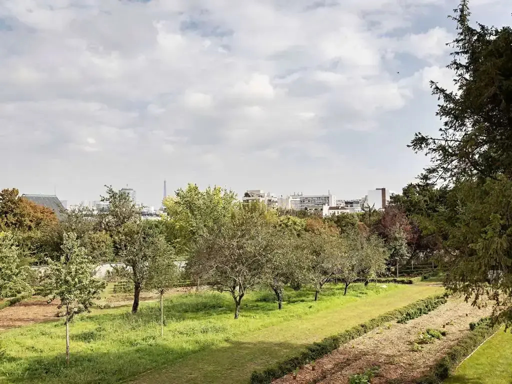 Foto - Domaine Reine Margot Paris - Issy - MGallery Collection