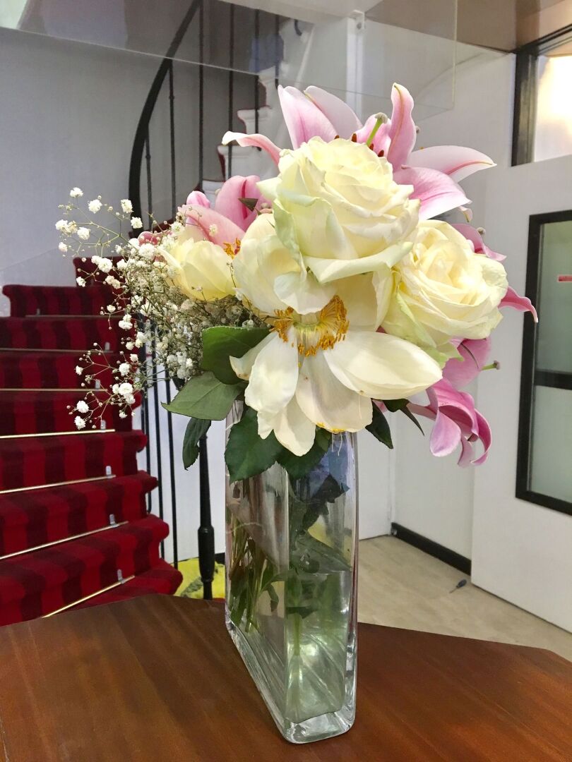 Foto - Amadeus Hotel