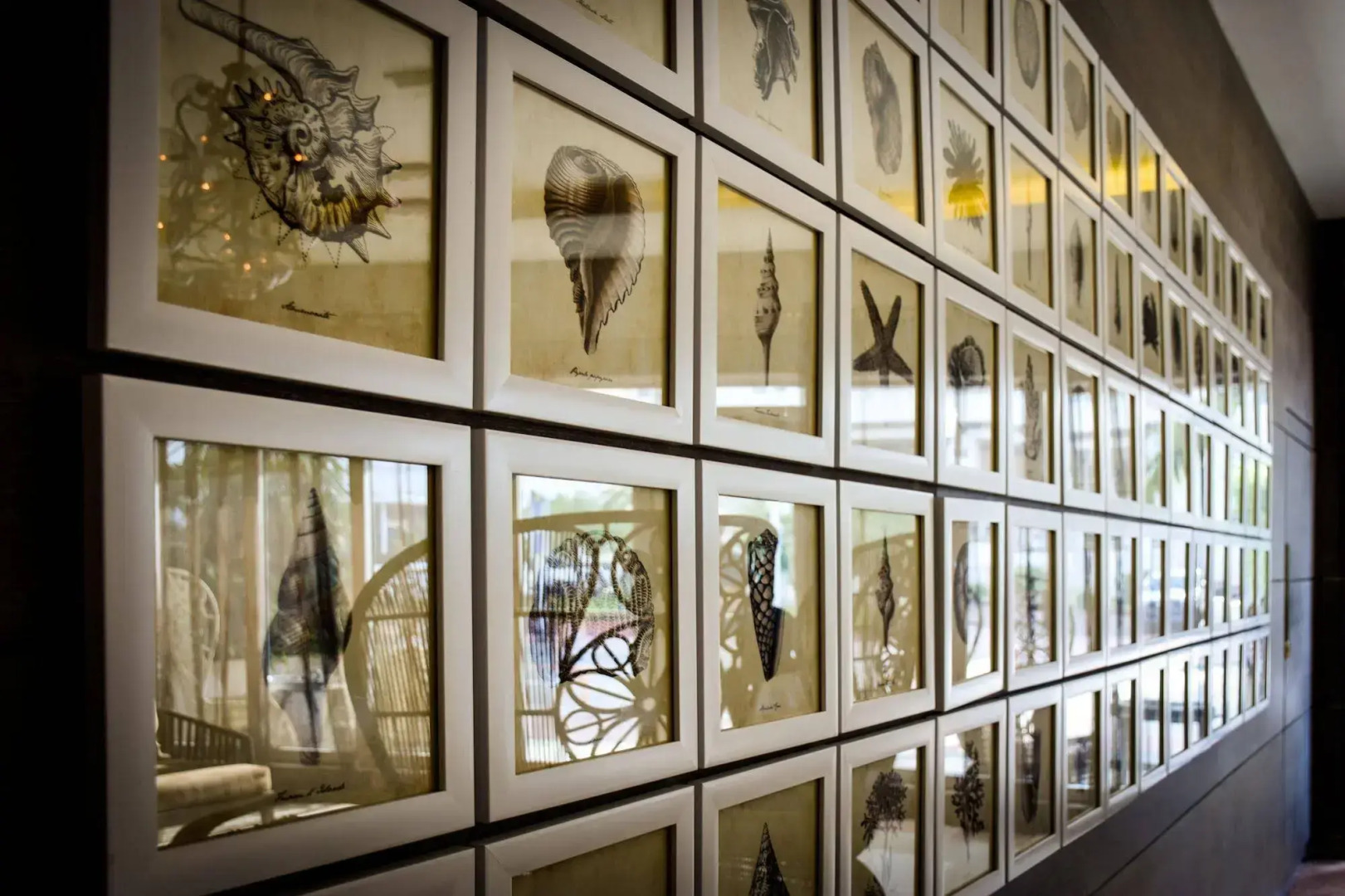 Foto - San Juan Hotel Miami Beach