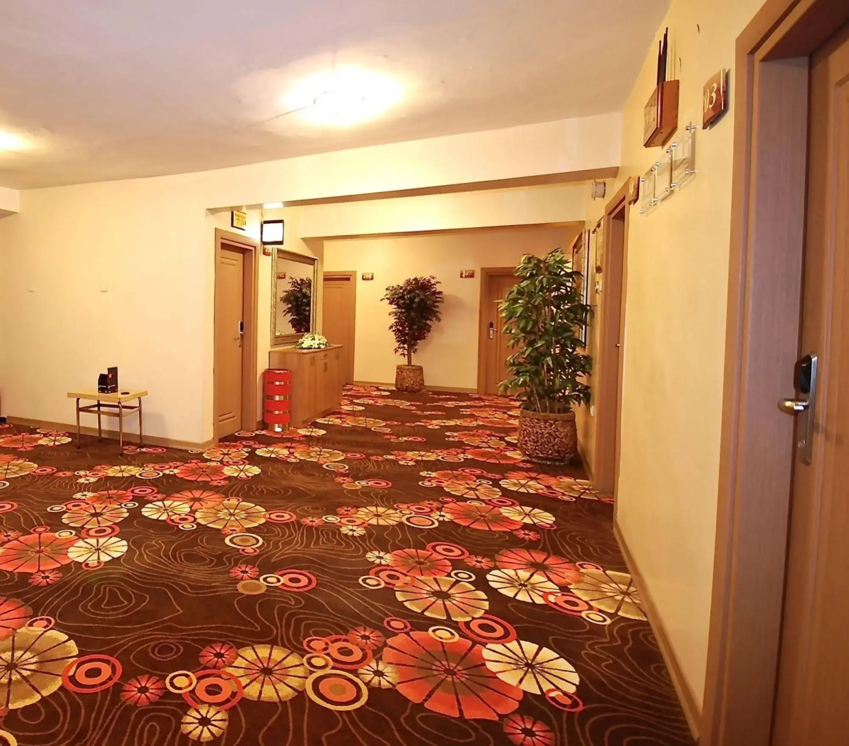 Photo - Hotel Mithat