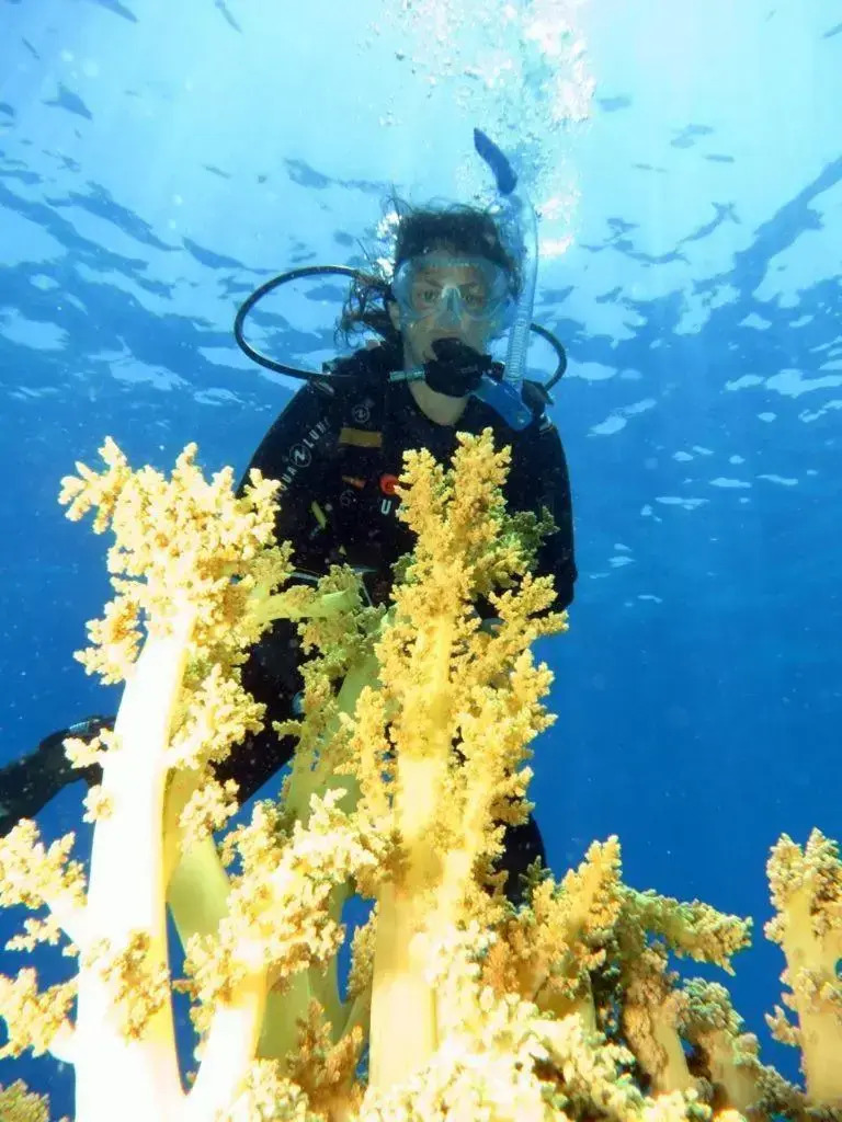 Foto - Aida Hotel Sharm El Sheikh