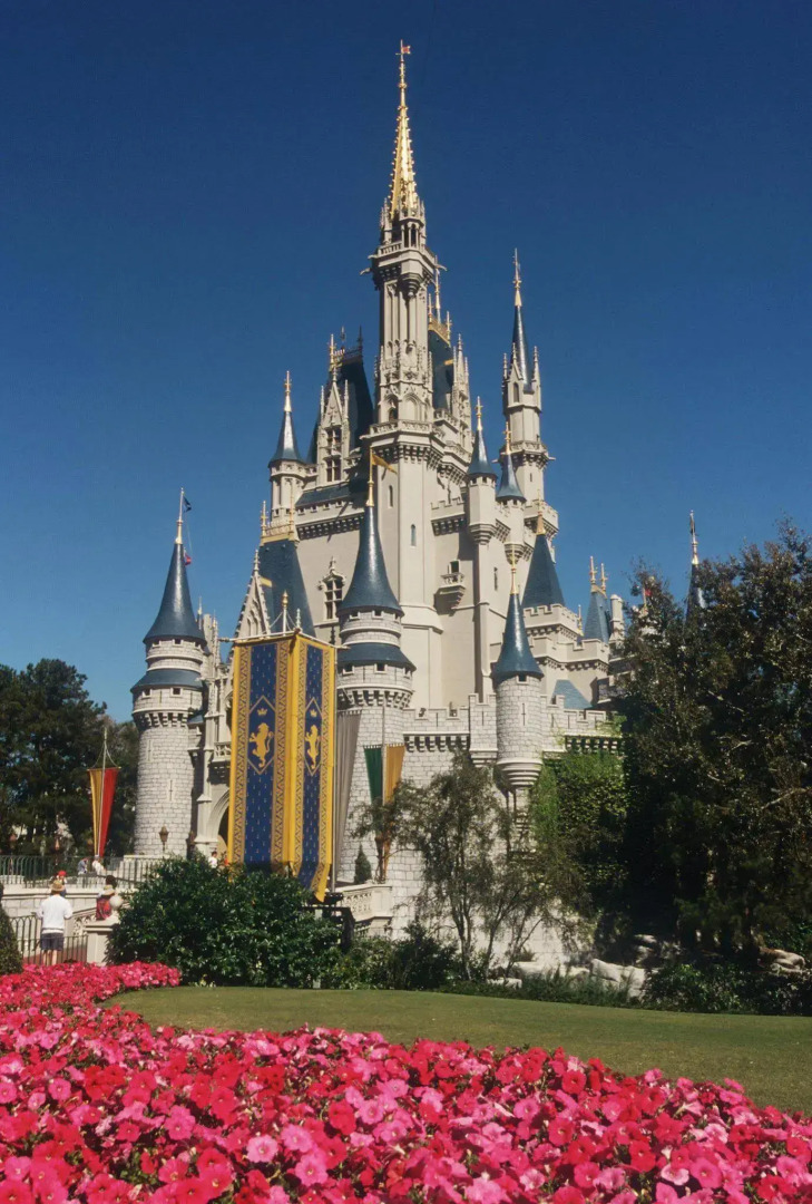 Foto - Hampton Inn & Suites Orlando-South Lake Buena Vista