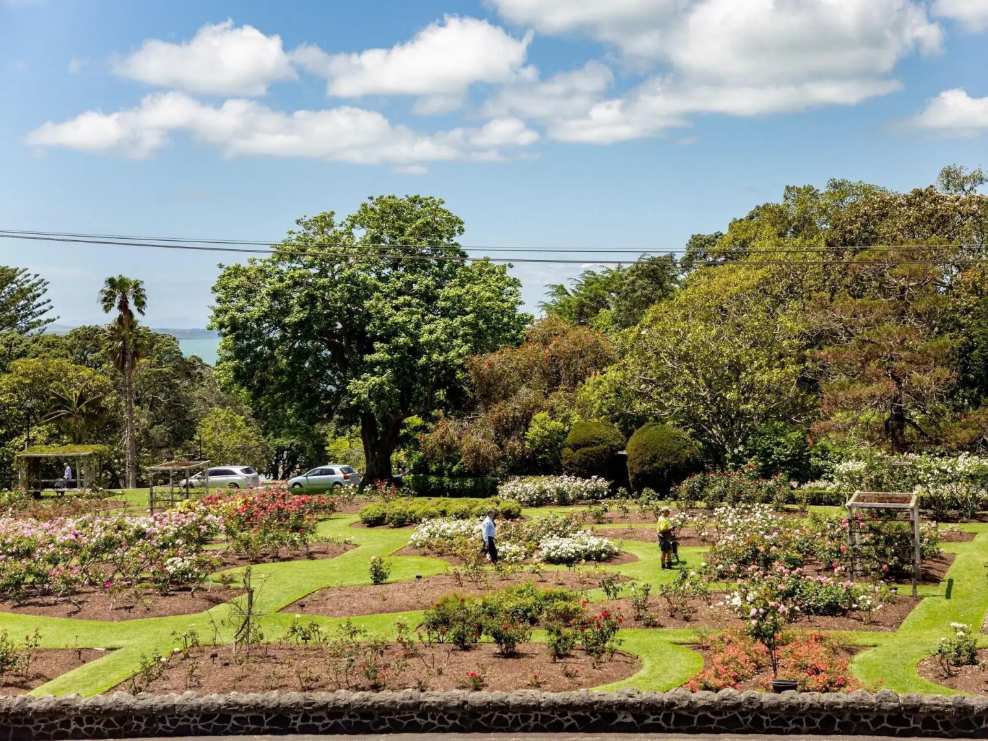 Foto - Auckland Rose Park Hotel