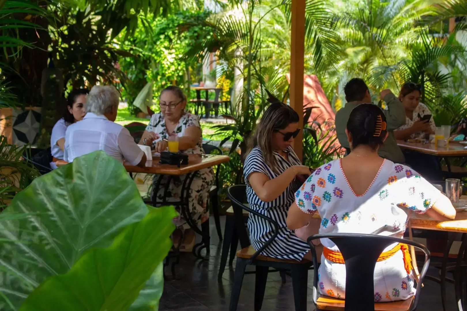Photo - Hotel Palacio Maya