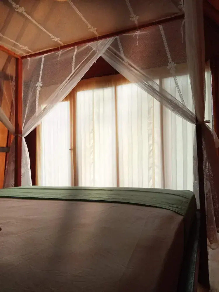 Photo - Jungle House - surf & stay