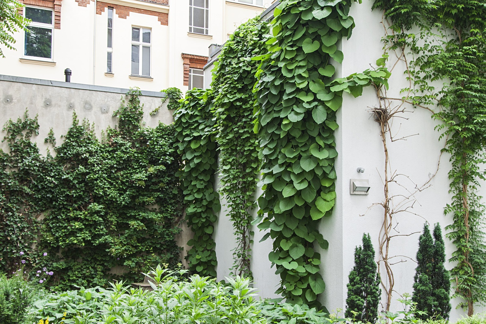 Photo - Quentin Design Hotel Berlin