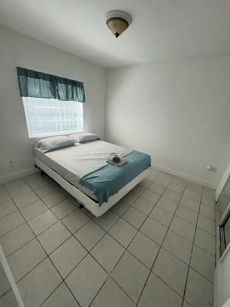 Photo - Safari Wynwood