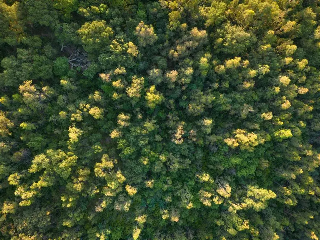 Foto - Hang Loose Cottage Hotel & Resort 4 stelle Gizzeria Calabria