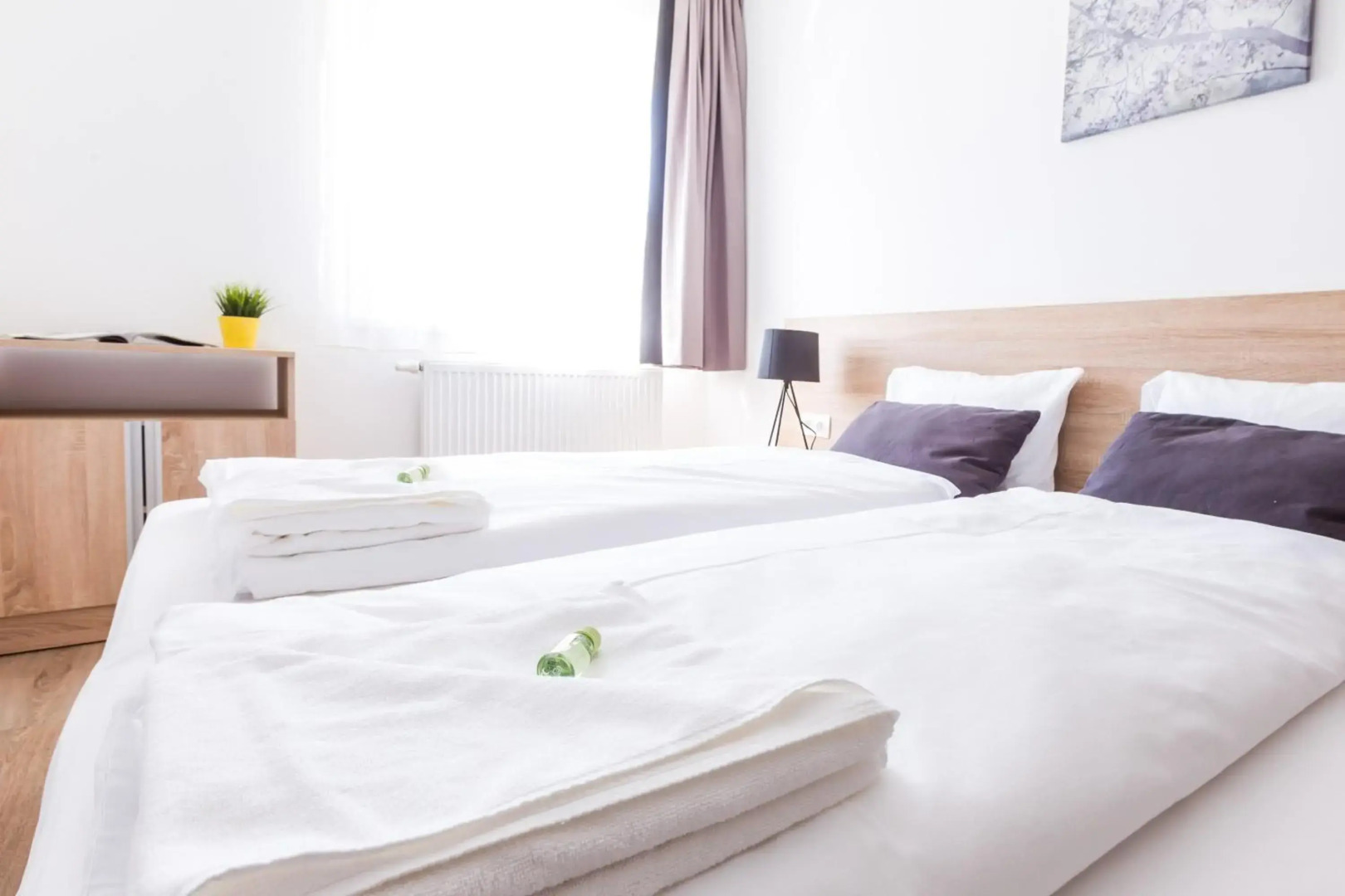 Photo - Vagabond Corvin