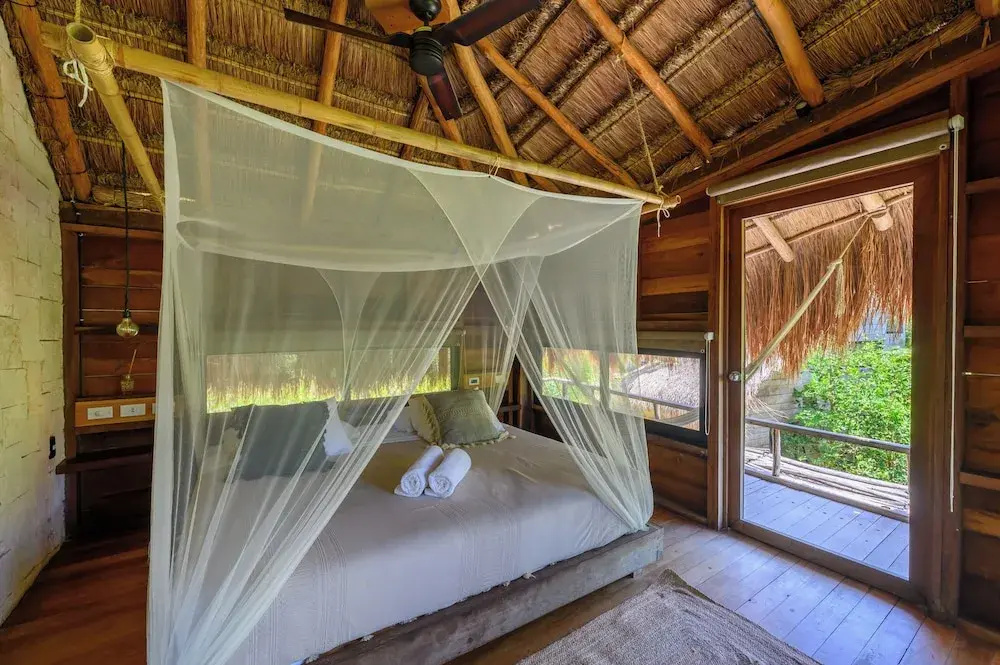 Foto - Vida Silvestre Tulum