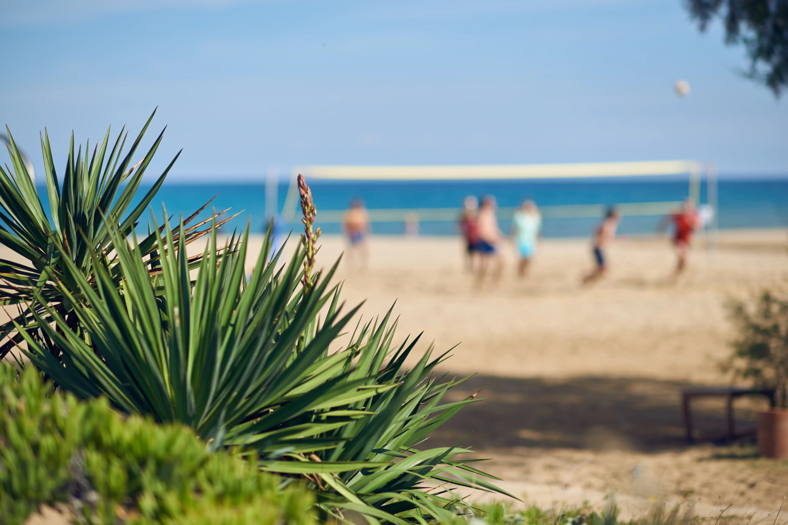 Photo - Pilot Beach Resort