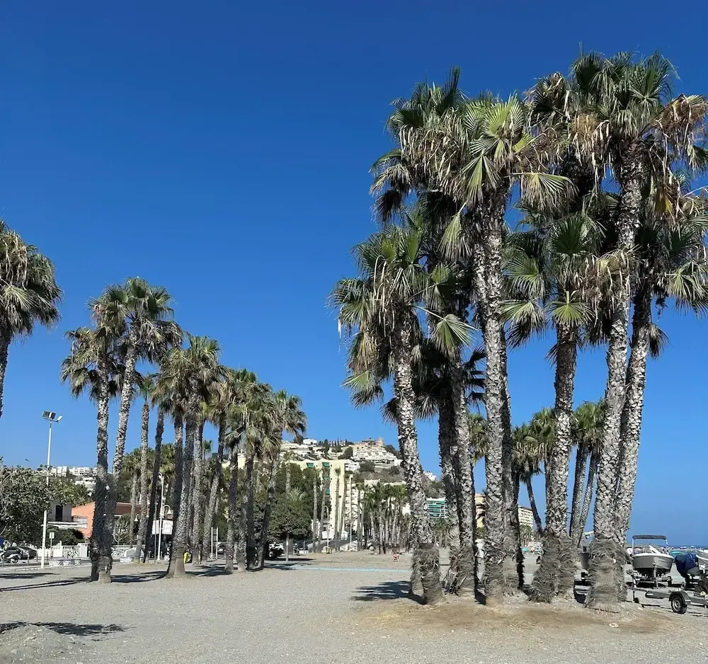 Photo - Casa del Patio