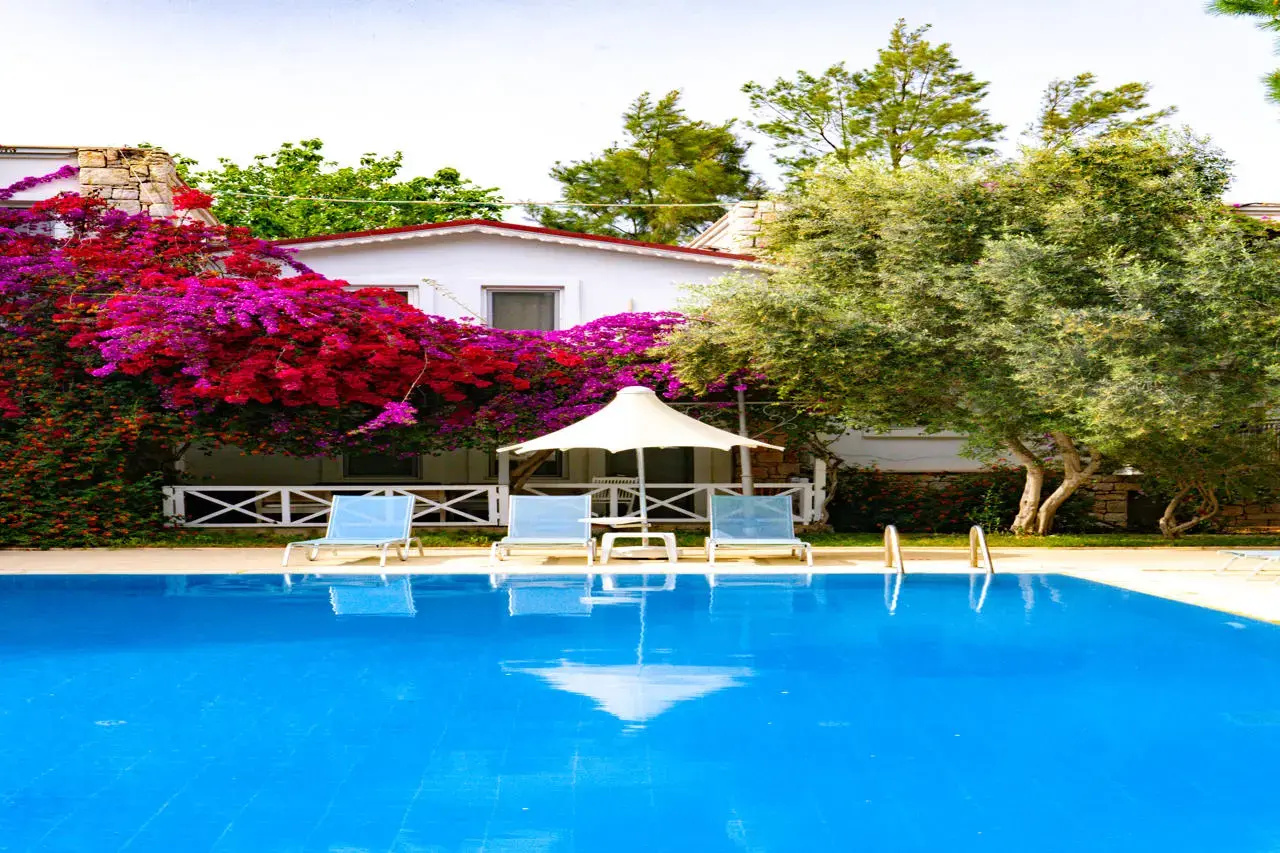 Photo - Moonshine Hotel & Suites