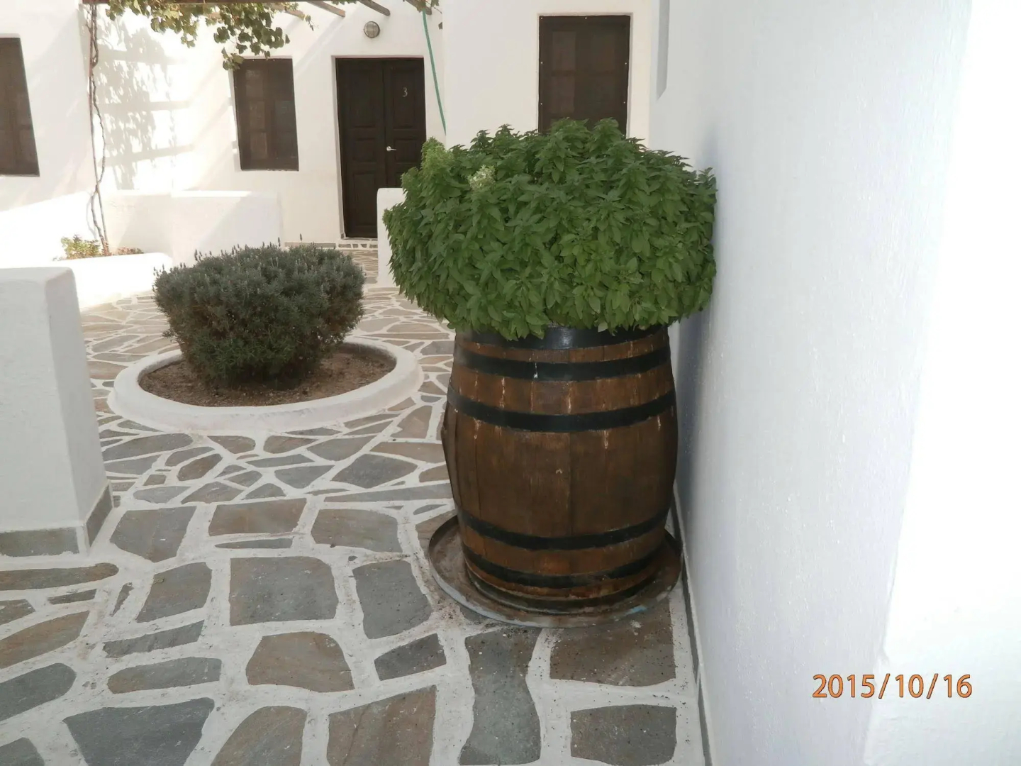 Photo - Villa Ostria