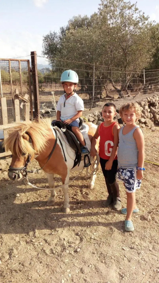 Photo - Ecoparco Neulè