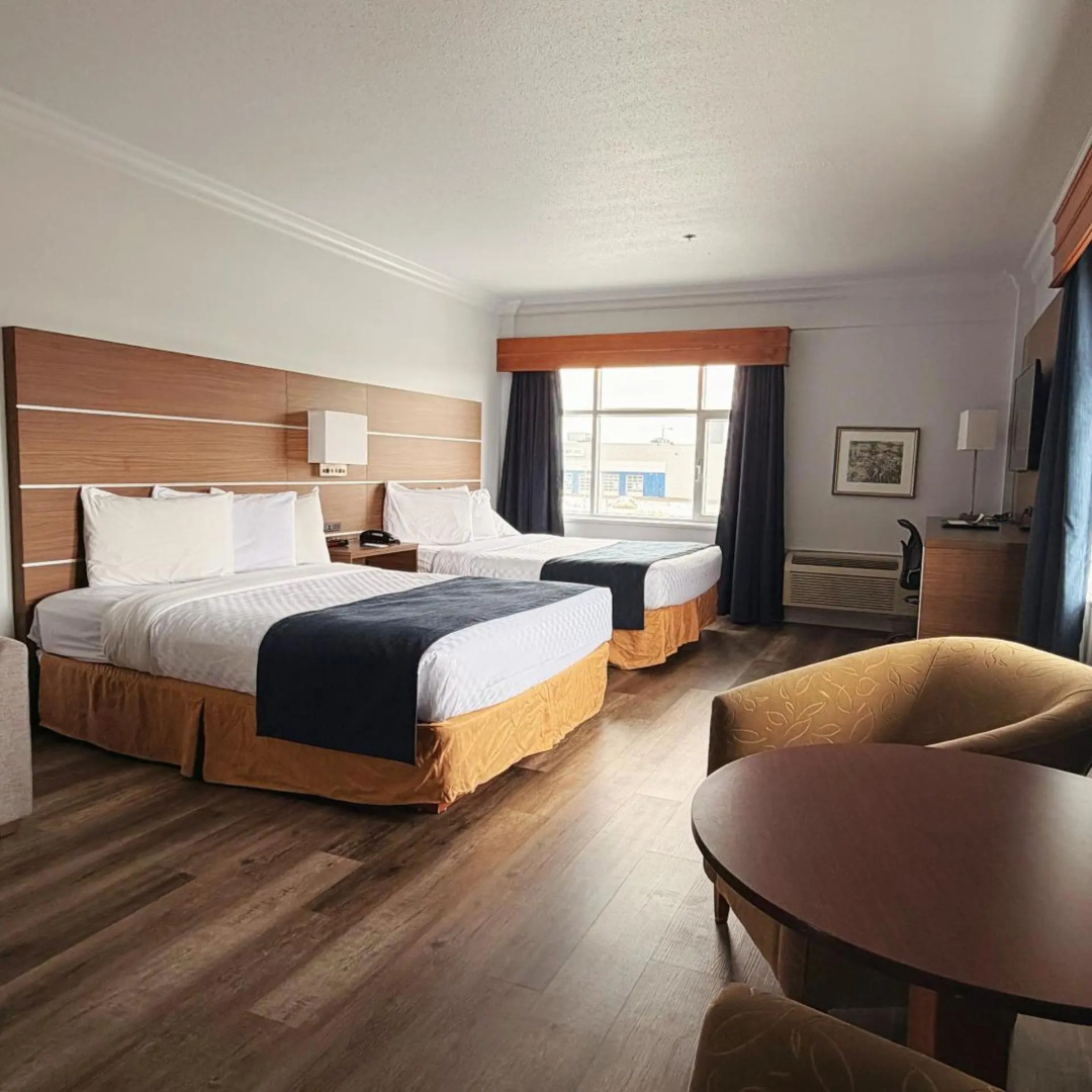 Foto - Hotel L'Oie des neiges