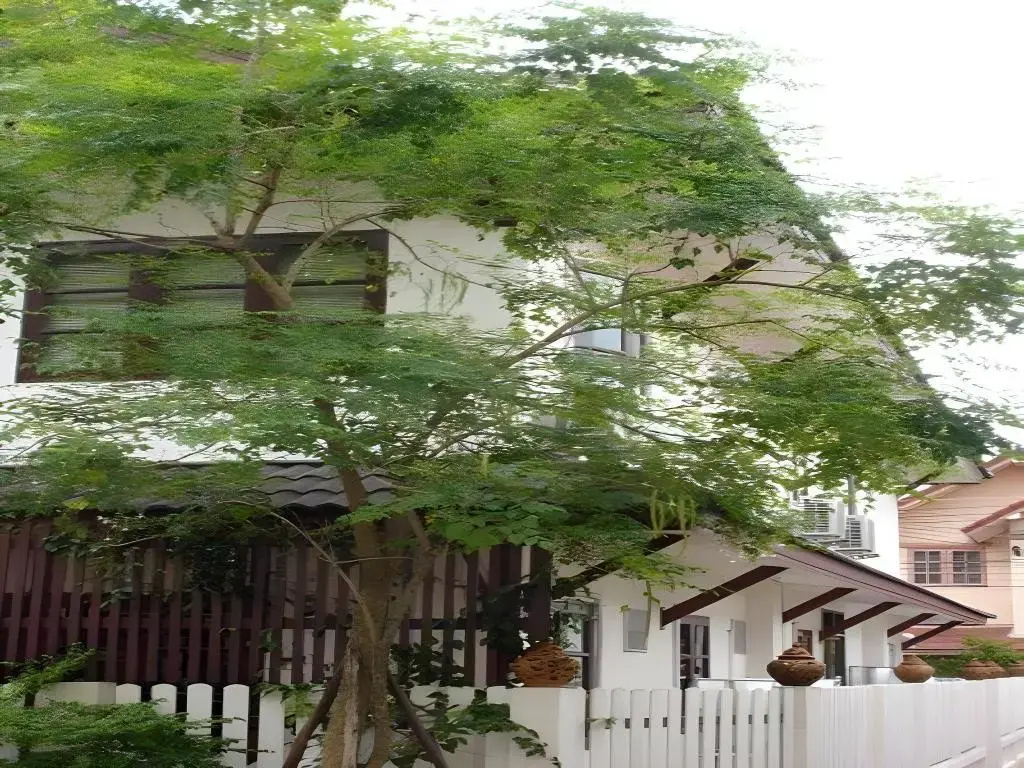 Foto - Baan Klang Vieng