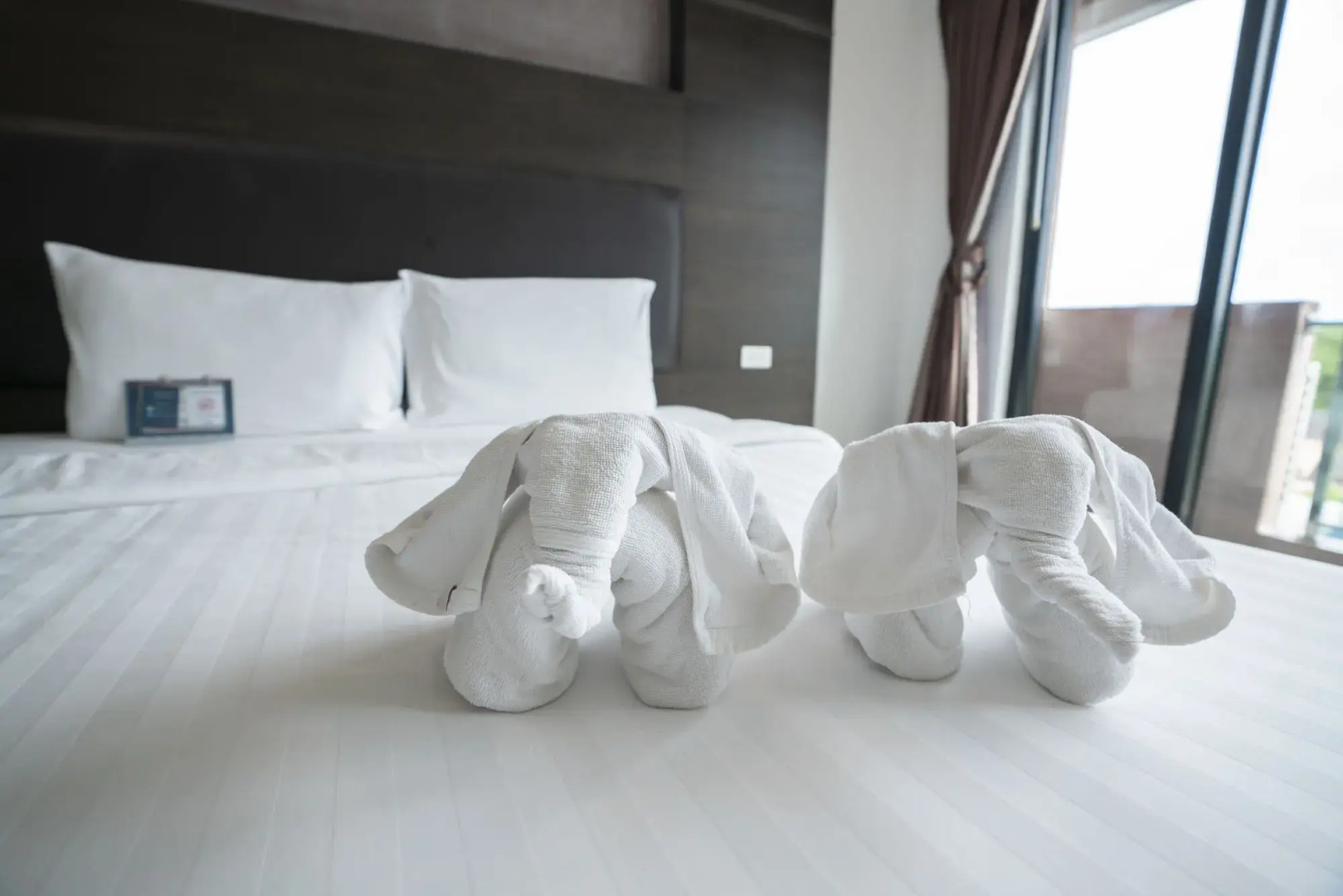 Foto - Tribe Pattaya