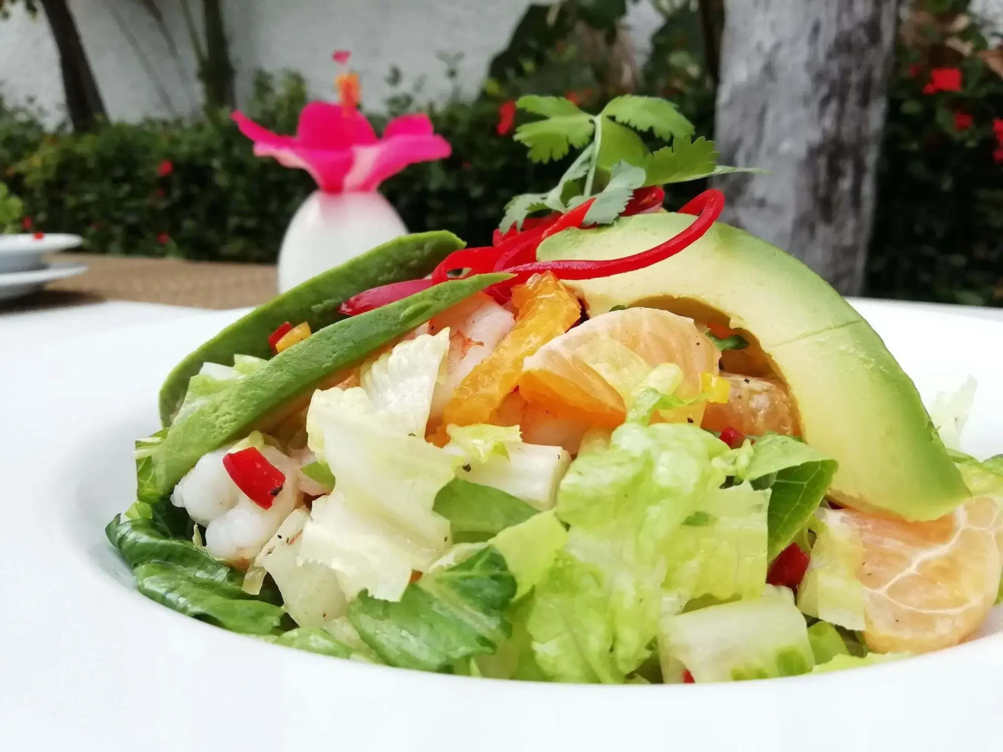 Foto - Nirvana Hotel - Cancun Hotel Zone