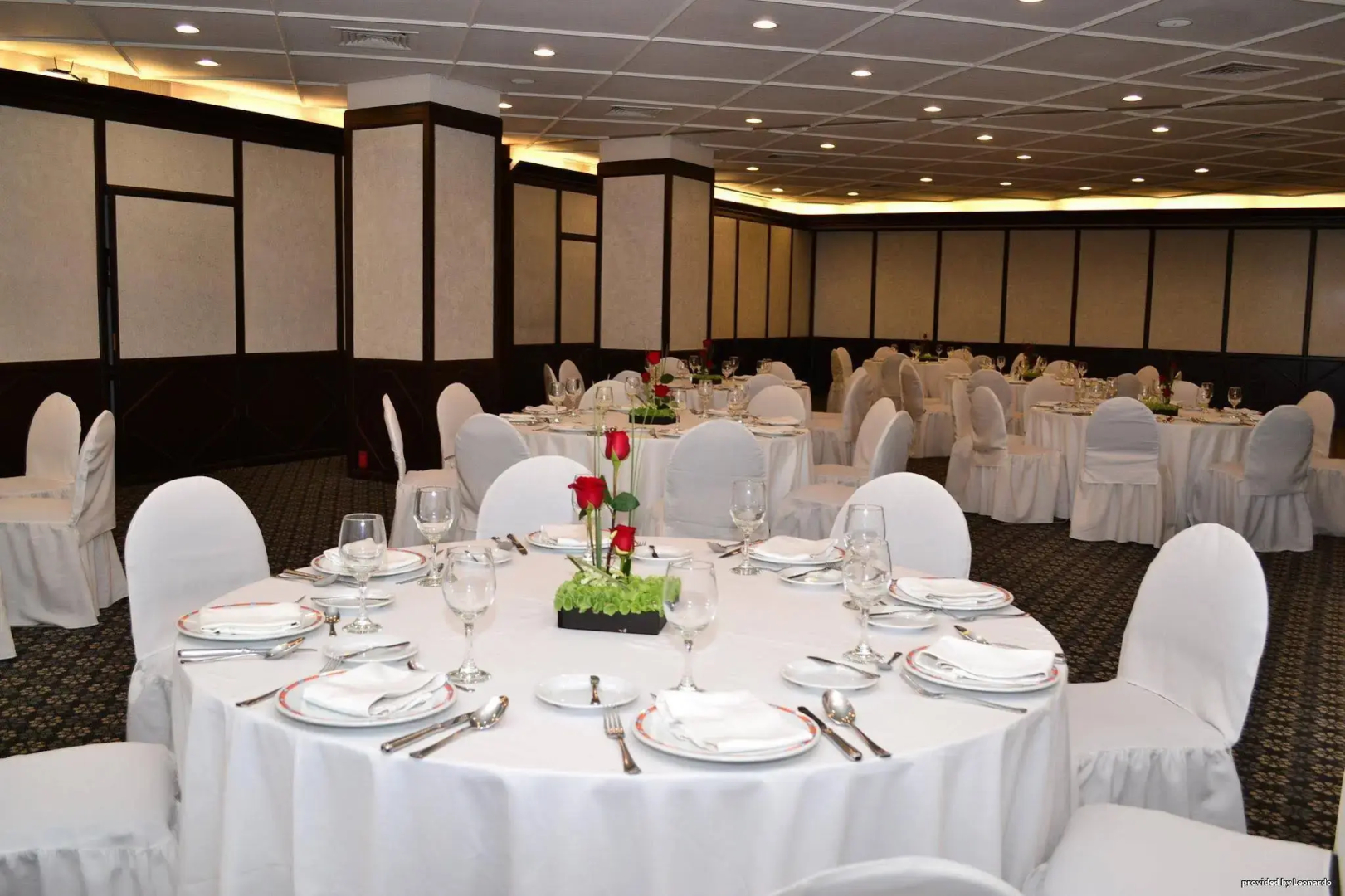 Foto - Hotel Royal Reforma