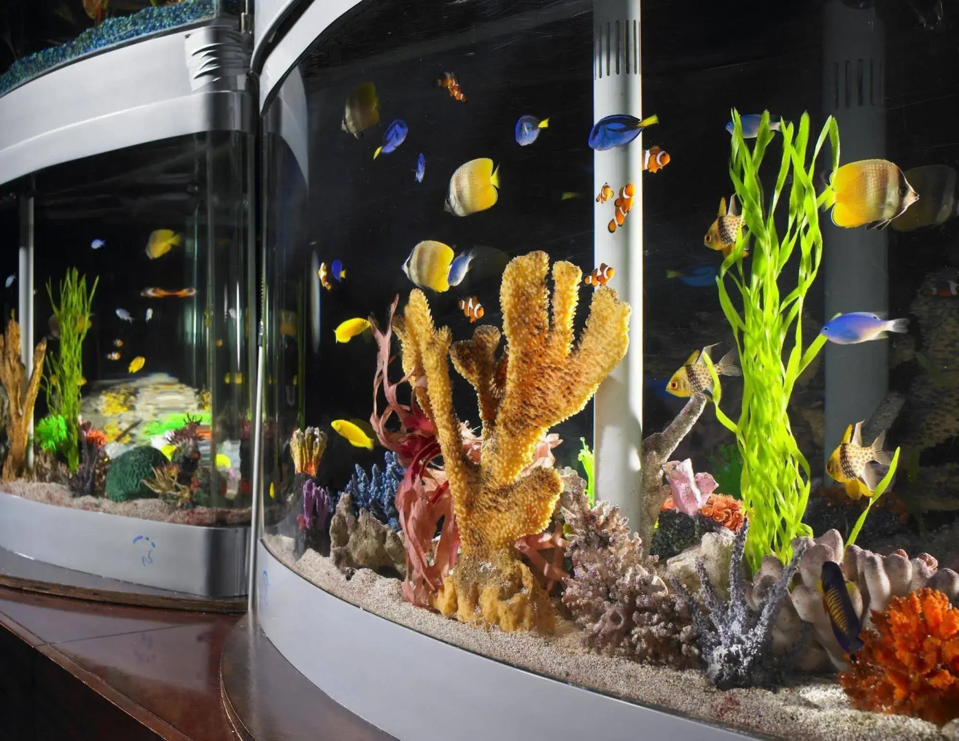 Photo - Anaheim Majestic Garden Hotel