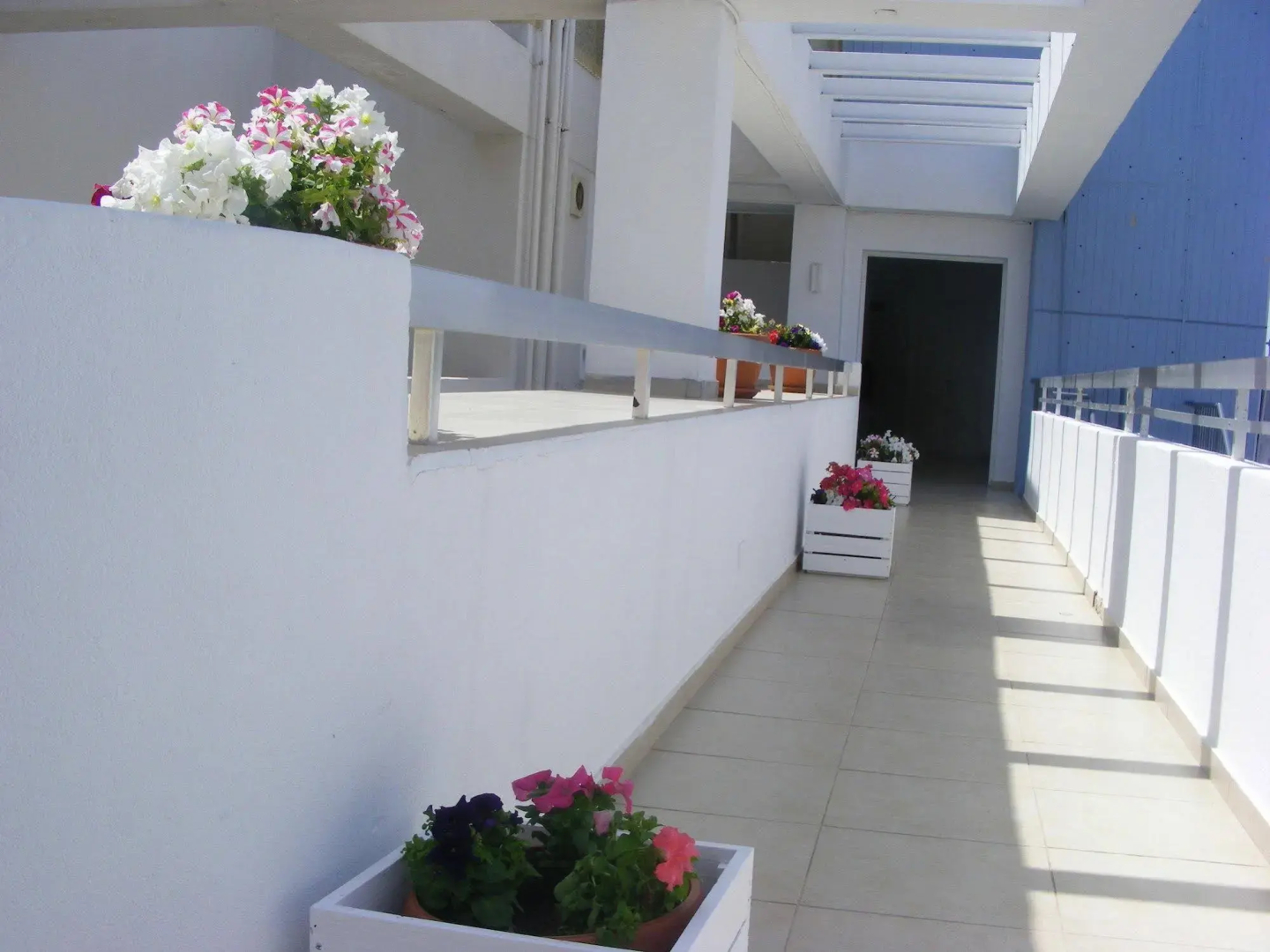Foto - Sun Hall Hotel