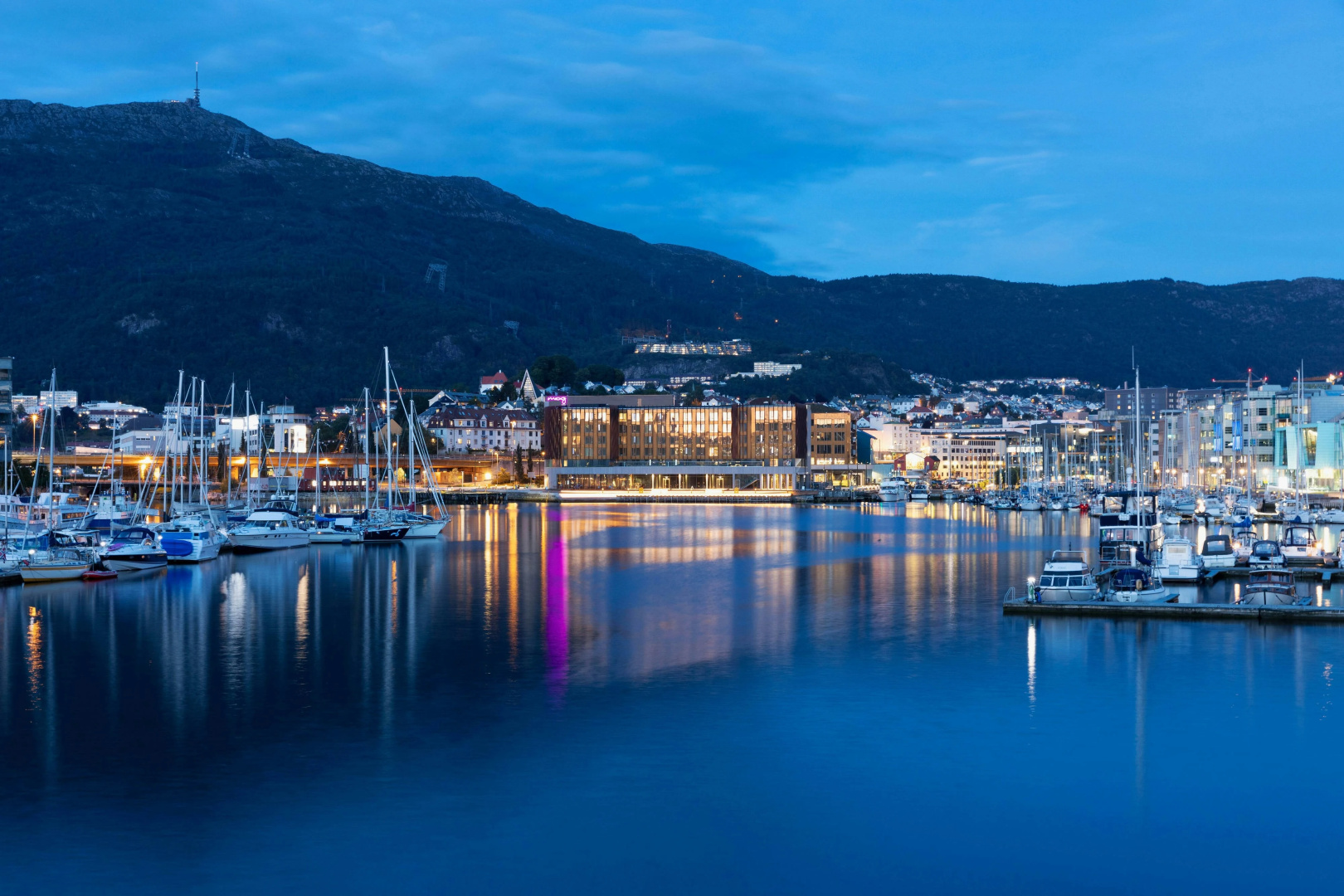 Photo - Moxy Bergen