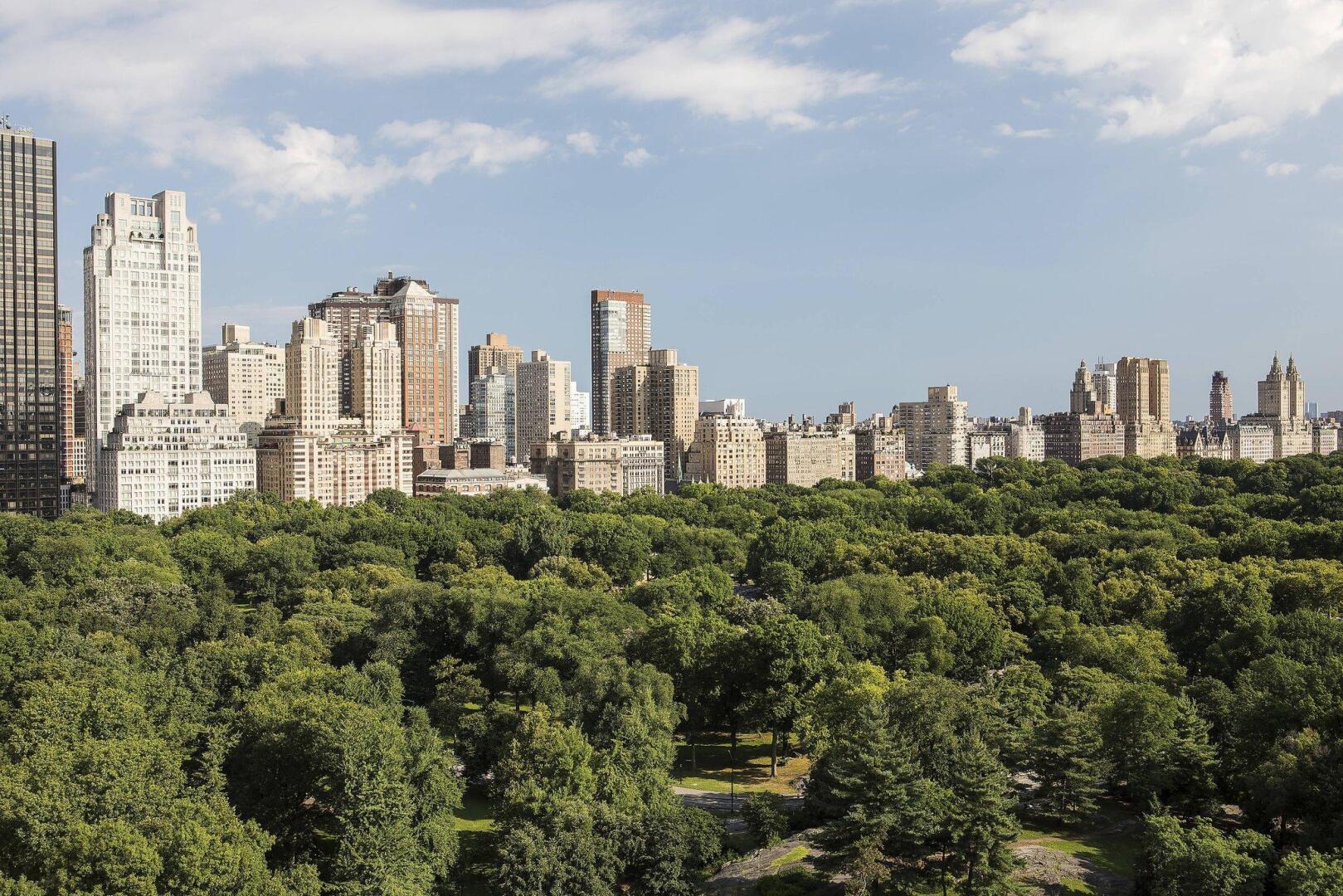 Foto - The Ritz-Carlton New York, Central Park
