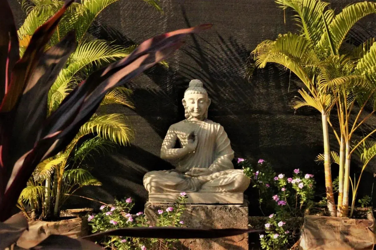 Foto - Lotus Sutra