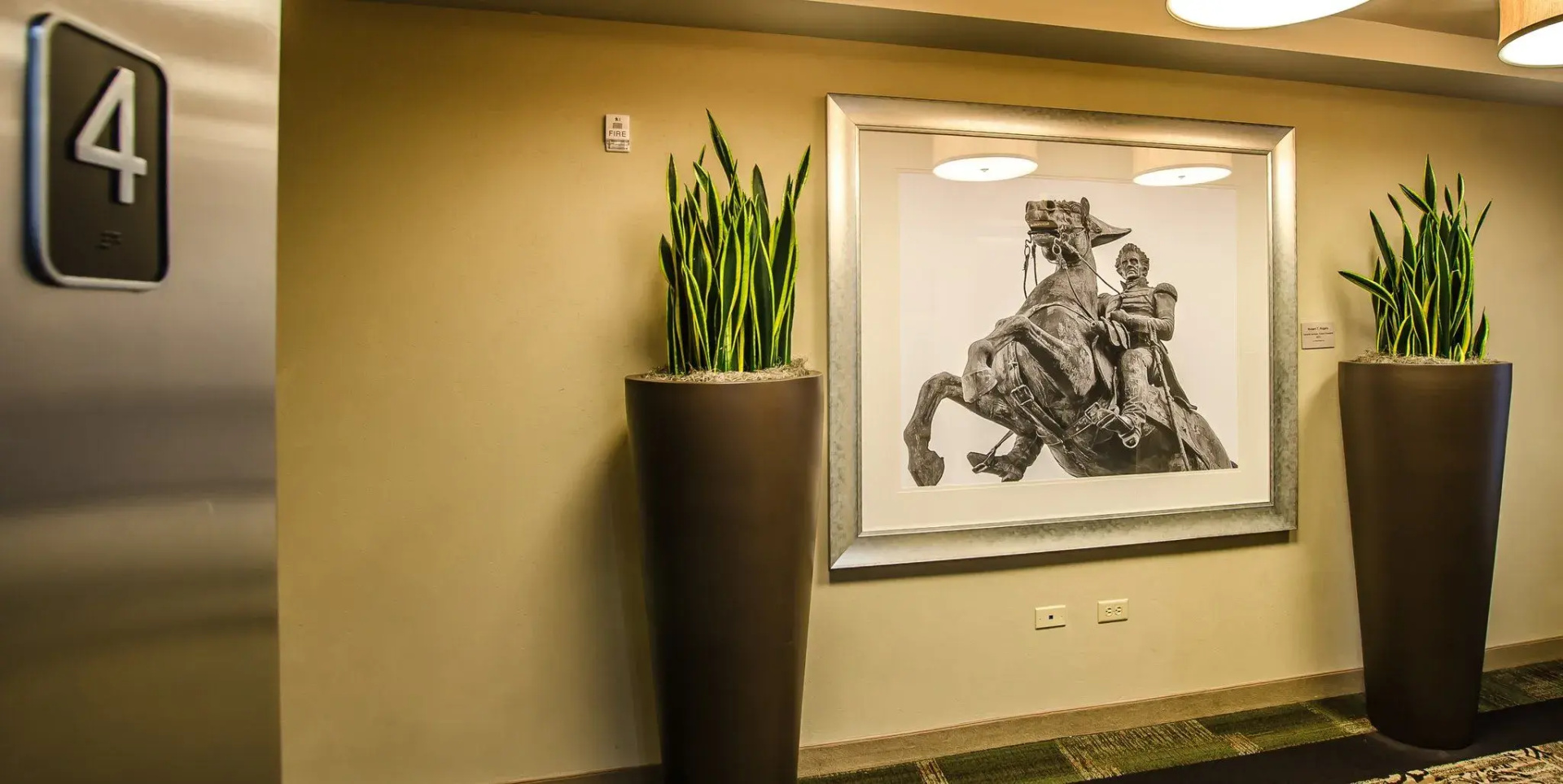 Photo - Homewood Suites Nashville Vanderbilt