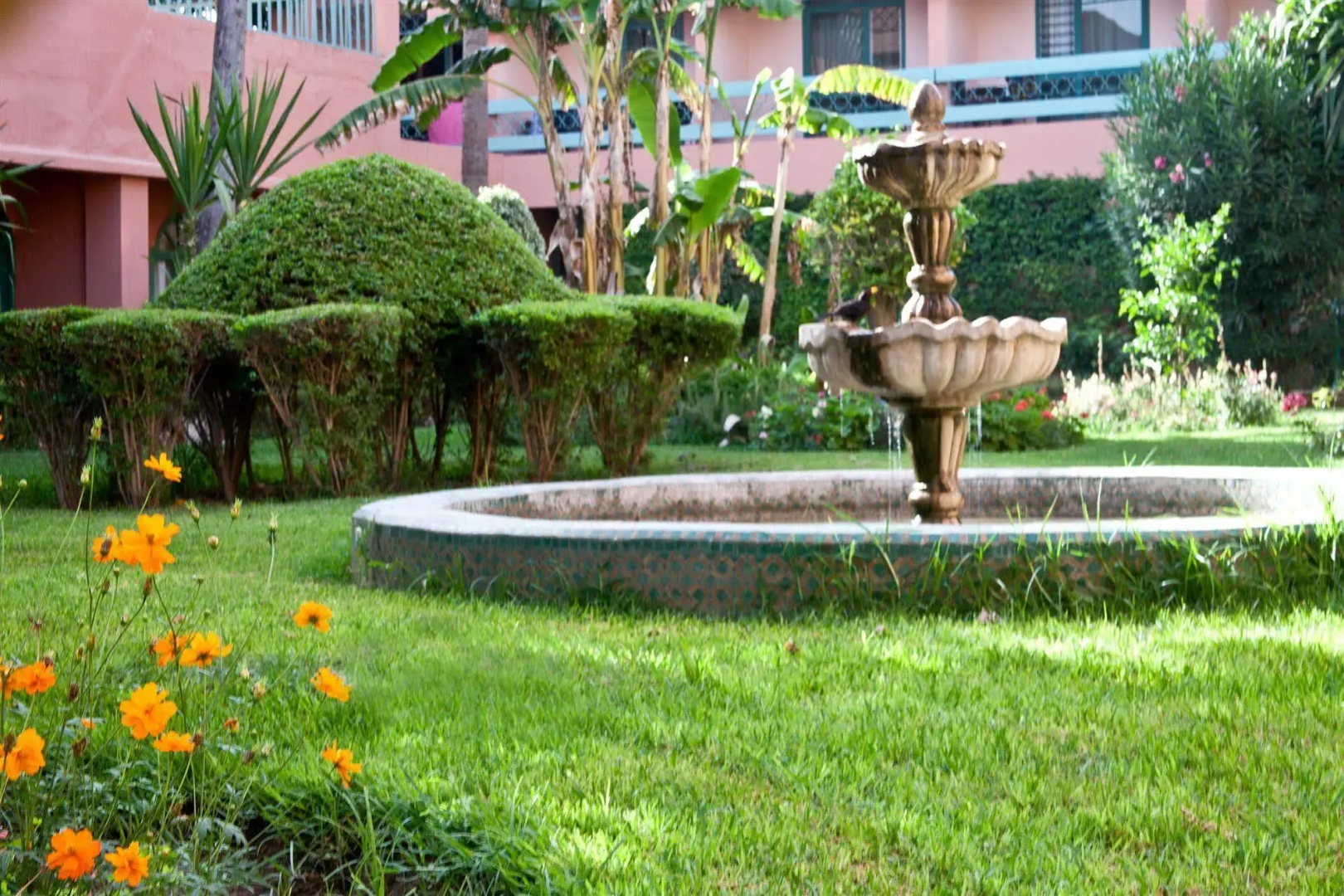 Photo - Hotel Chems