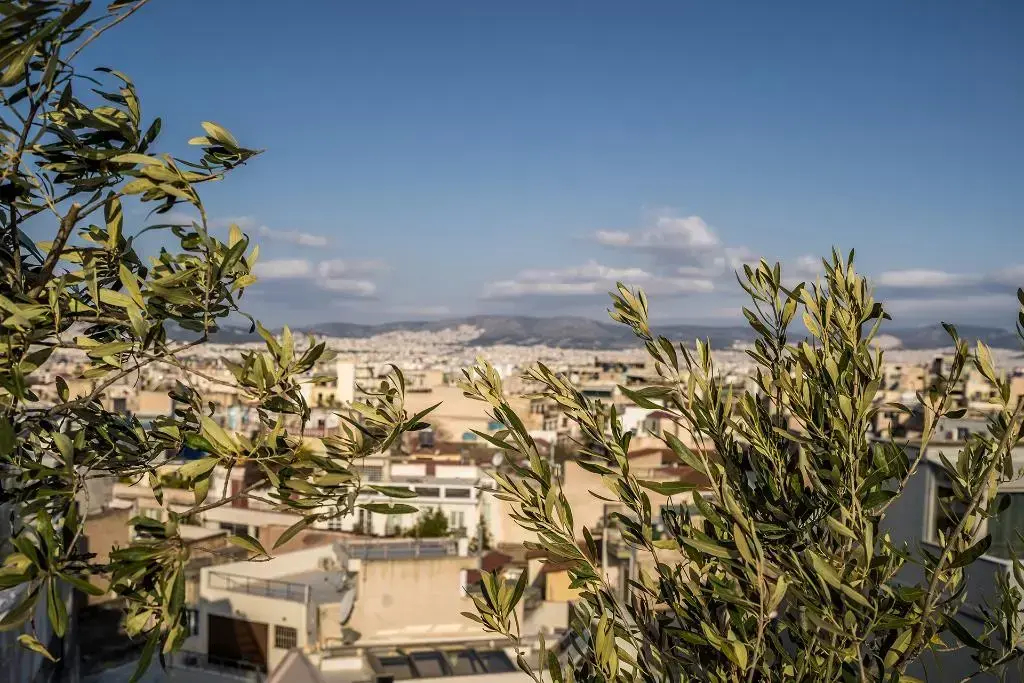Foto - Urban Nest - Suites & Apartments