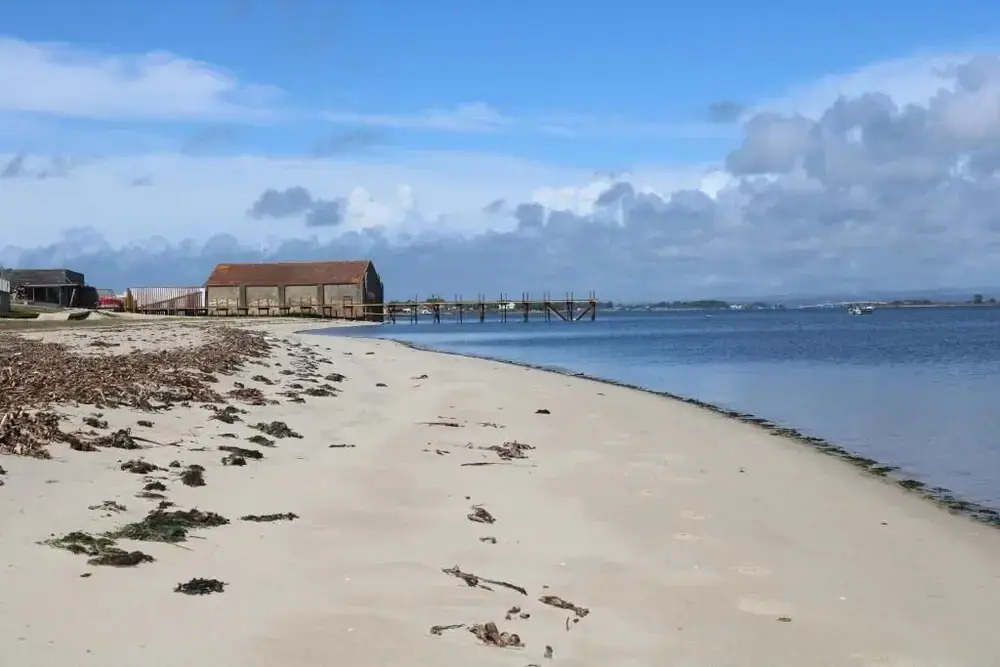 Foto - Casa Galricho