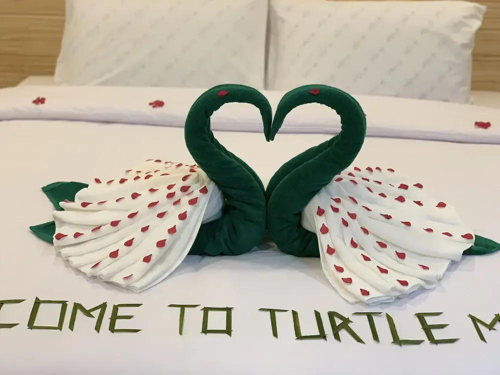 Photo - Turtle Maldives - Your Gateway to the Beach & Marine Adventures Await!